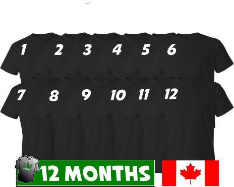 12 Month T Shirt Club