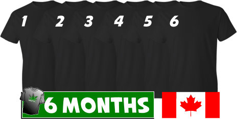 6 Month T Shirt Club